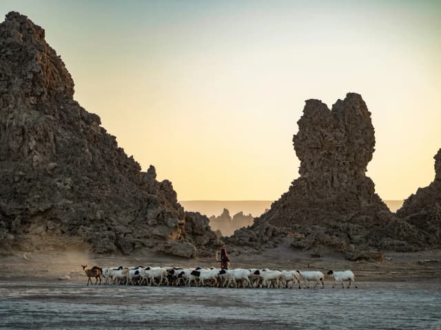 Foto af Djibouti